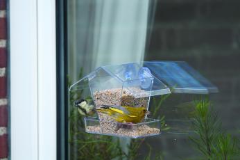 Cj Crete Window Feeding House